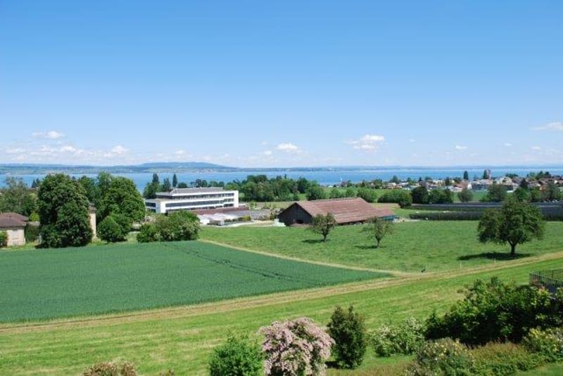 Helle 4.5-Zimmer-Wohnung mit Seesicht in Münsterlingen – sofort verfügbar! (1)