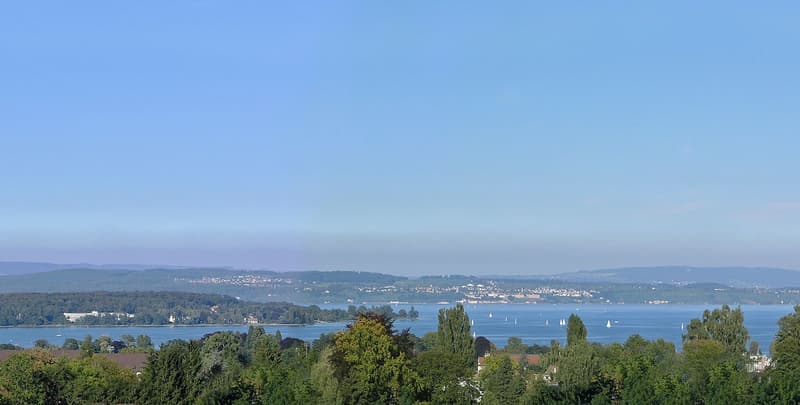 First Class Villa with 180 Lake view, an einzigartiger Hanglage oberhalb von Kreuzlingen am Bodensee (5)
