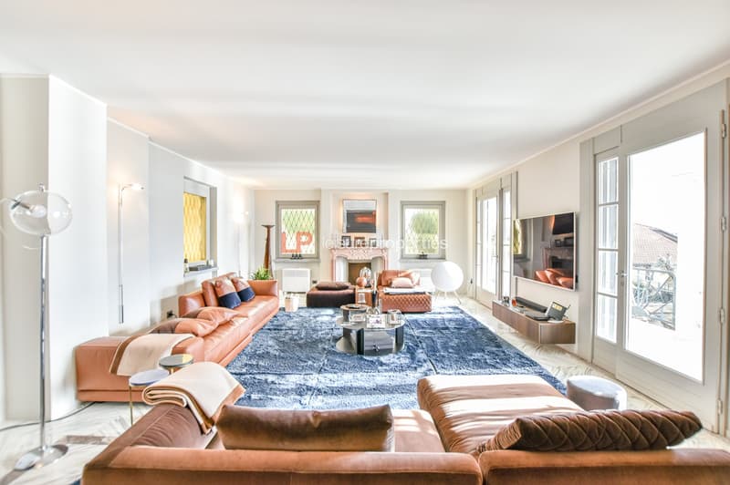 fireplace, windows, doors, couch, sofa, tables, rugs, TV, lamps