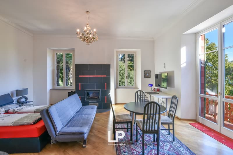 living room, fireplace, sofa bed, table with chairs, TV, rug, chandelier, wooden floor, lamps