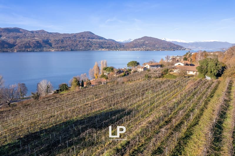 The image shows a scenic view of a lakeside town surrounded by mountains. The town is situated on a hillside with vineyards and orchards covering the slopes. There are several houses and buildings visible along the shoreline. The lake appears calm and ref