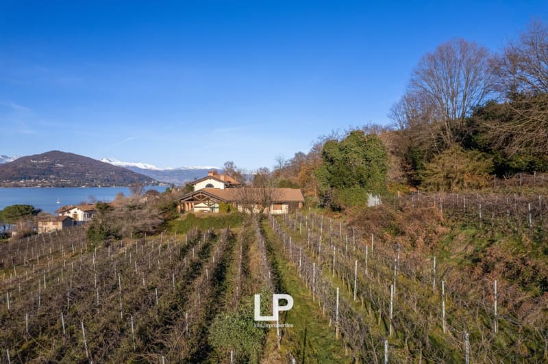 Country house in Laveno Mombello by Lake Maggiore with vineyard