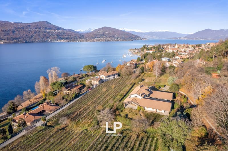 Aerial view of a lakeside town surrounded by mountains, with vineyards and houses on the hillside, boats in the lake, and a scenic landscape with autumn foliage.