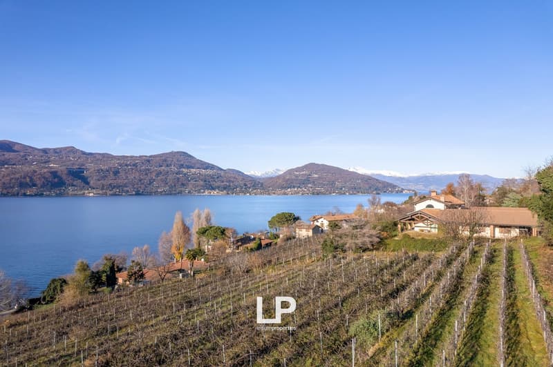 Houses on hill above lake, vineyard, mountains, clear blue sky