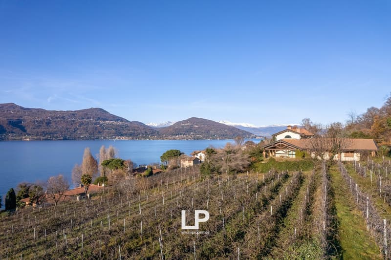 The image shows a scenic view of a lakeside town surrounded by mountains. There are vineyards and houses on the hillside overlooking the lake. The sky is clear and blue, and the landscape appears lush and green.