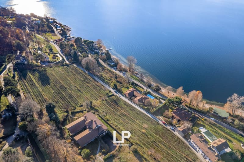 This image shows an aerial view of a lakeside community. The landscape features rolling hills, vineyards, and houses nestled along the shoreline of a large, blue lake. The homes have a mix of architectural styles, with some featuring red tile roofs. There