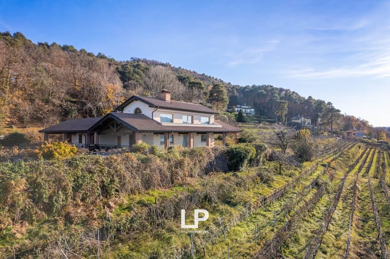 2-story house with a sloped roof, surrounded by vineyards and trees on a hillside, with a balcony or terrace overlooking the scenic landscape
