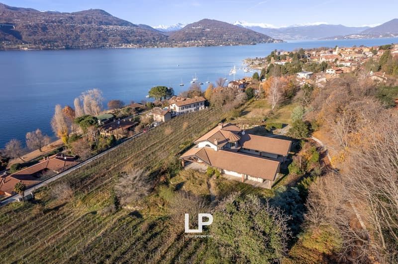 Aerial view of a hillside overlooking a lake surrounded by mountains. The image shows several houses and buildings nestled among vineyards and trees, with a scenic lakefront view in the background.