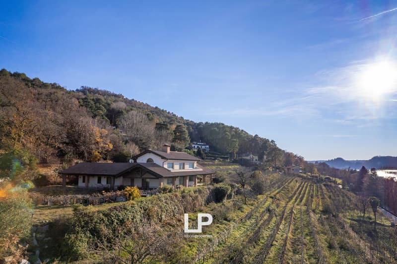 Two-story house with a porch, surrounded by a vineyard on a hillside with a view of the mountains and forests in the background.