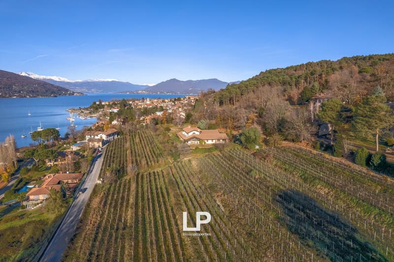 Aerial view of a picturesque lakeside town surrounded by vineyards, forests, and mountains. The image shows a scenic landscape with a lake, houses, and a winding road. The vineyards and forests cover the surrounding hills, creating a beautiful and serene