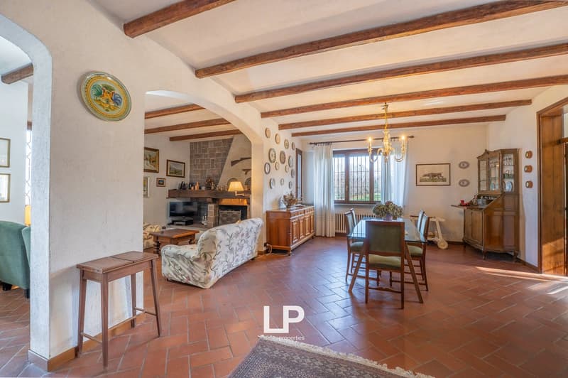 wooden beams, fireplace, dining table, chairs, couch, wooden floor, chandelier, wooden cabinet, TV, radiator