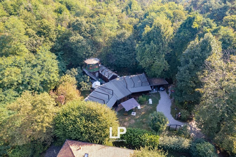 Villa à Sesto Calende (25)