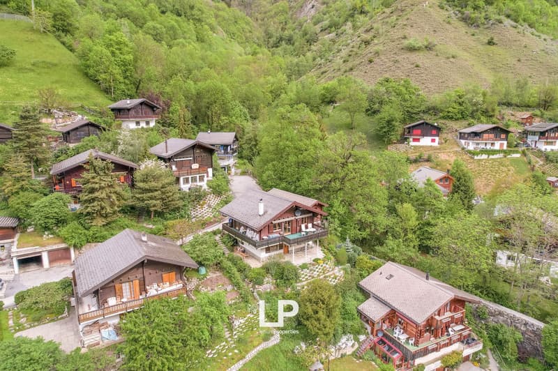 Il chalet Castanea è un chalet di 5 camere nel cuore della natura verde di Mörel-Filet. (2)