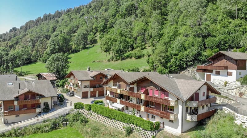 Beautiful, exceptionally spacious one-room apartment directly behind the OV hub in Fiesch (12)