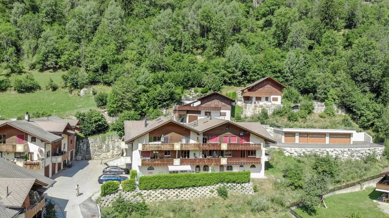 Beautiful, exceptionally spacious one-room apartment directly behind the OV hub in Fiesch (2)