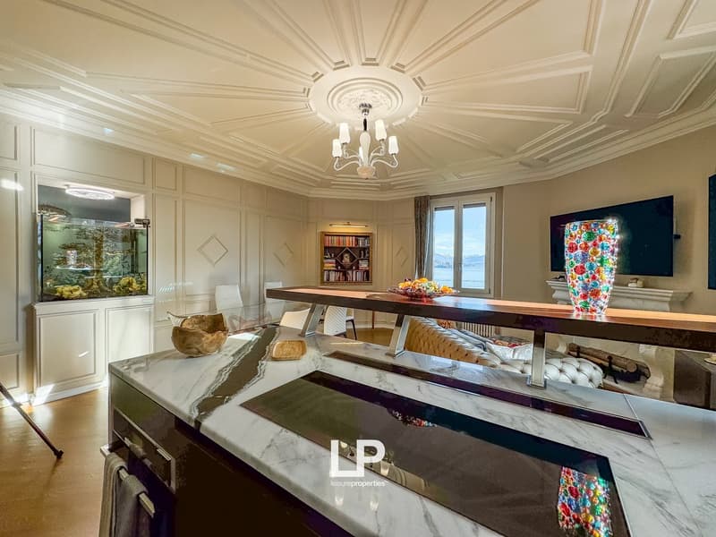 modern kitchen with marble countertops, large aquarium, chandelier, large windows, fireplace, TV, bookshelves, couch, dining table, chairs