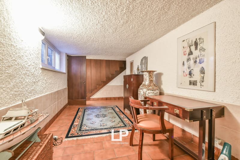 Villa Ispra (46)