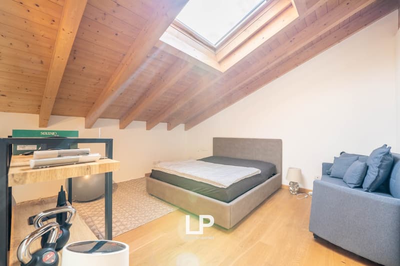 Wooden ceiling, skylight, bed, couch, desk with gym equipment, lamp, floor lamp, rug