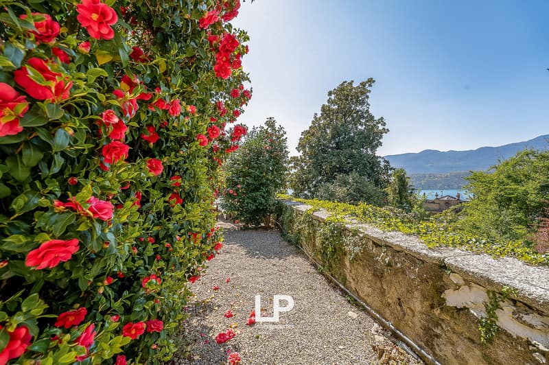 Villa à Orta San Giulio (11)