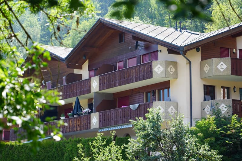 Cozy studio apartment in Fiesch with mountain view (2)