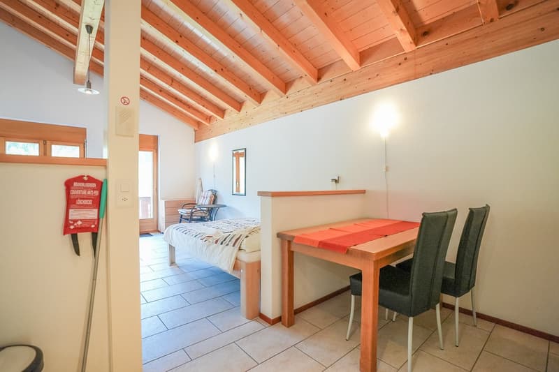 Open-plan studio apartment with wooden beamed ceiling, tiled floor, double bed, dining table with chairs, and a fireplace visible in the room.