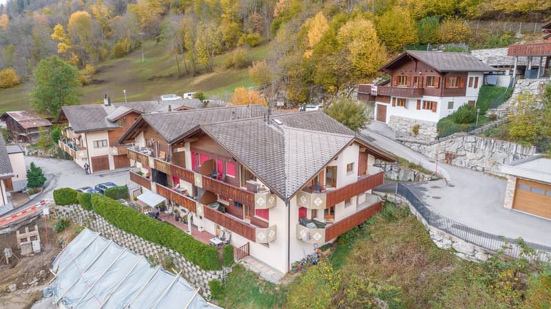 Charming 1-bedroom apartment for sale in Fiesch - Lehrastrasse 16 (2)