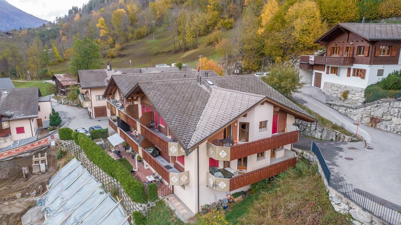 Charming 1-bedroom apartment for sale in Fiesch - Lehrastrasse 16 (16)