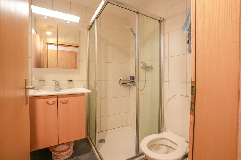 Bathroom with a vanity cabinet, sink, mirror, and a glass-enclosed shower stall. The room is tiled and has a toilet.