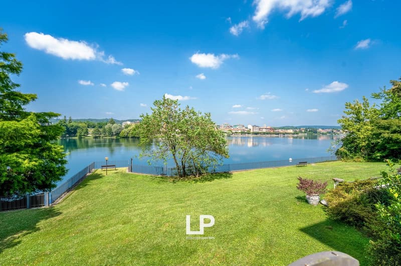 The image shows a scenic lakeside landscape with a lush green lawn, a blooming tree, and a body of water surrounded by buildings and trees. The sky is clear and blue with fluffy white clouds. The scene appears to be a peaceful and picturesque outdoor sett