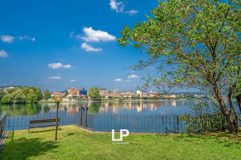The image shows a scenic lakeside view with a city skyline in the background. There is a grassy area with a bench in the foreground, and a large tree providing shade. The lake is calm and reflects the buildings and sky. The city skyline in the distance in