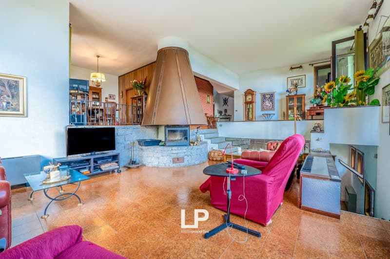 Spacious living room with a stone fireplace, wooden accents, and colorful furniture including a pink armchair. The room also features a TV stand, shelves, and various decorative elements like sunflowers.
