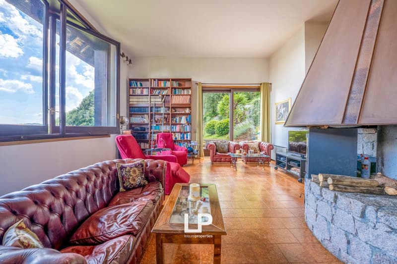 Spacious living room with large windows, bookshelves, leather sofas, and a fireplace