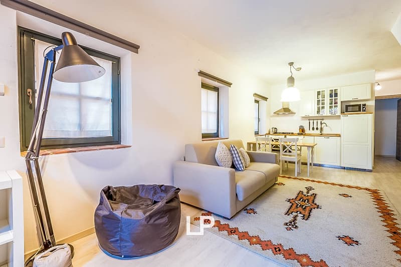 Spacious living room with large windows, sofa, bean bag chair, and open kitchen area with dining table. The room has hardwood floors and a patterned area rug. The kitchen is equipped with white cabinets and a dishwasher.