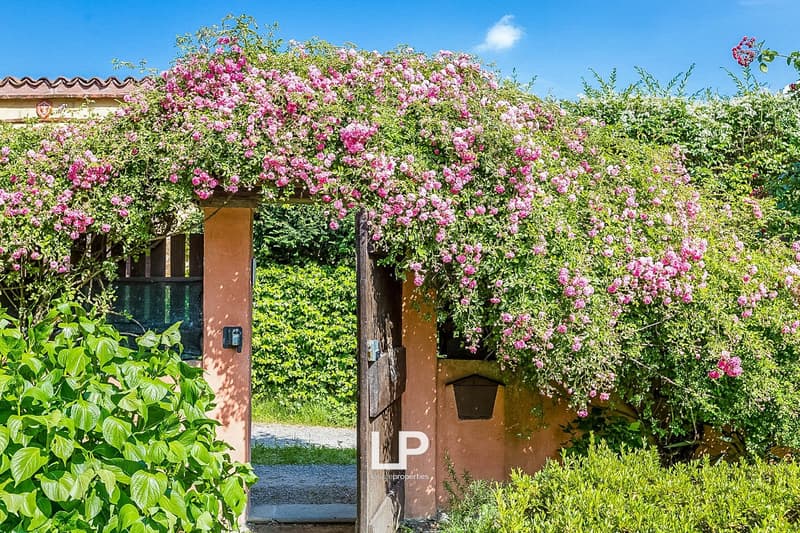 Lush garden with blooming pink flowers, green foliage, and a wooden archway leading to a path