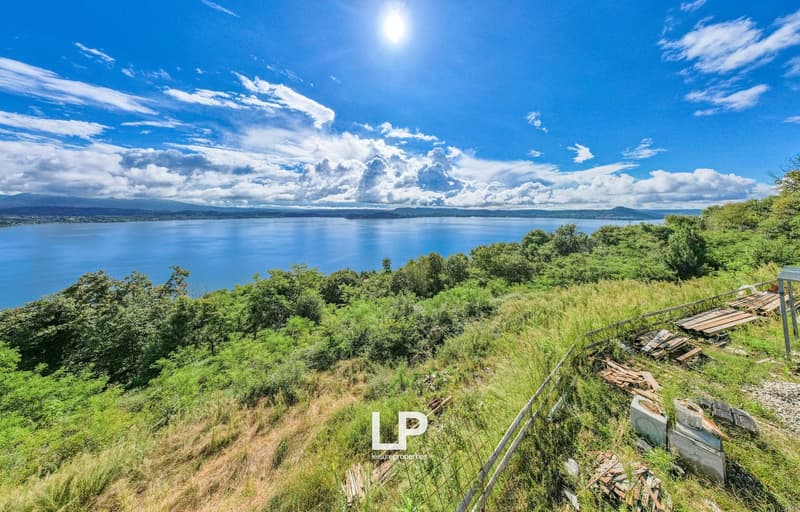 panoramic view of a lake with mountains in the background, green grass, and a blue sky with some clouds
