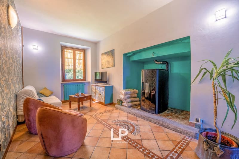 tiled floor, fireplace, wooden coffee table, armchairs, wall-mounted radiator, television on cabinet, decorative objects, potted plant