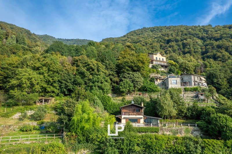 Hillside property, multiple houses, stone walls, dense green vegetation, mountain backdrop, fencing
