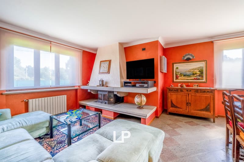 orange walls, fireplace, television, glass table, couch, radiator, cabinet, paintings