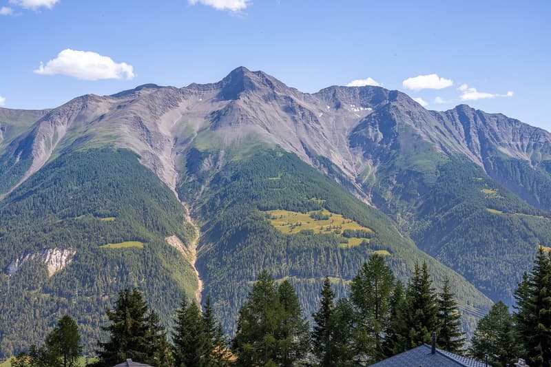 Affascinante appartamento di 3,5 locali con vista sulla montagna a Bettmeralp (28)
