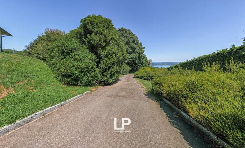 pathway, lush green vegetation, blue sky, distant lake and mountains