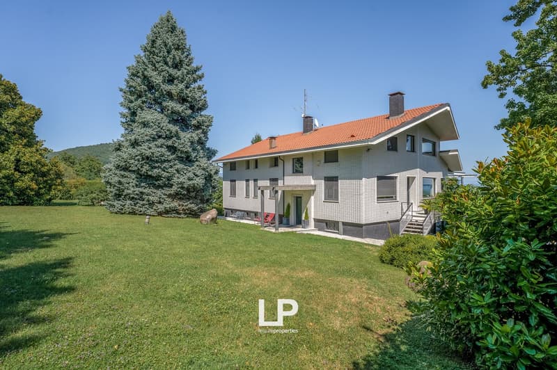 Detached house, two story, red roof, large yard, white facade, green lawn, terrace, large trees