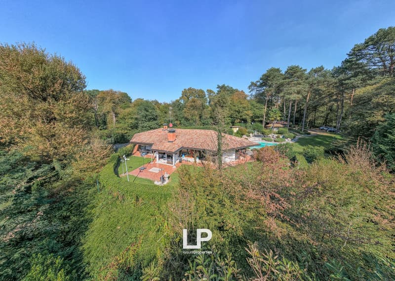 Spacious villa, pool, terrace, surrounded by greenery, driveway