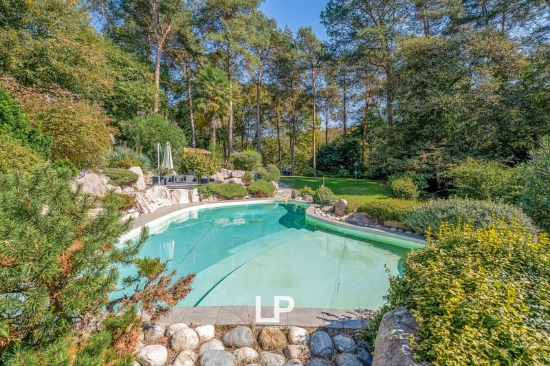 Outdoor swimming pool, surrounded by rocks, plants, trees, deck, and chairs with umbrellas.