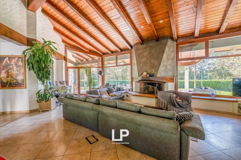 tiled floor, large fireplace, couch, TV, plants, windows