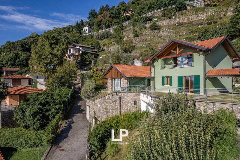 group of 4 houses, green roofs, brown tiles, balconies, terraces, hilly terrain, surrounded by trees