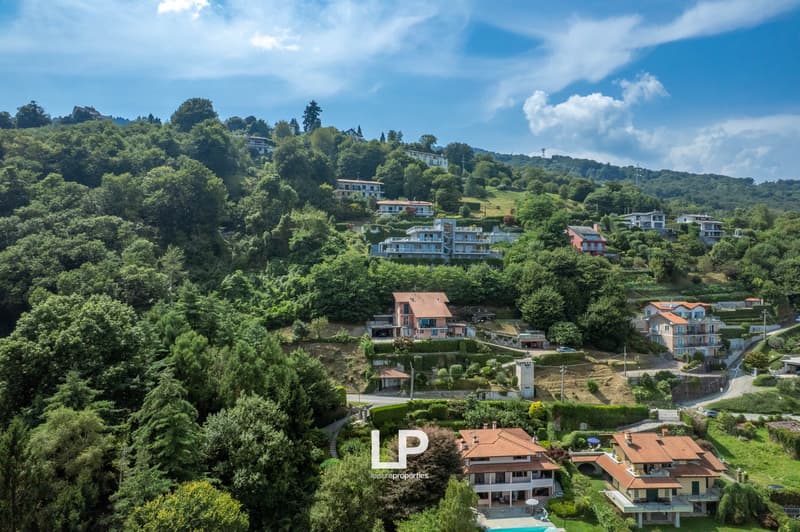Hillside houses, surrounded by trees, terrace with swimming pool, clear sky