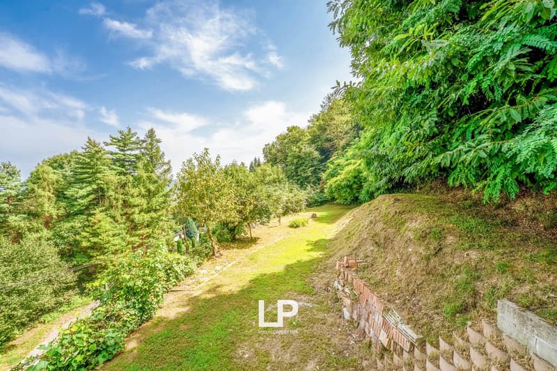 hillside garden with lush greenery, grass, and exposed brick retaining wall on sloped terrain