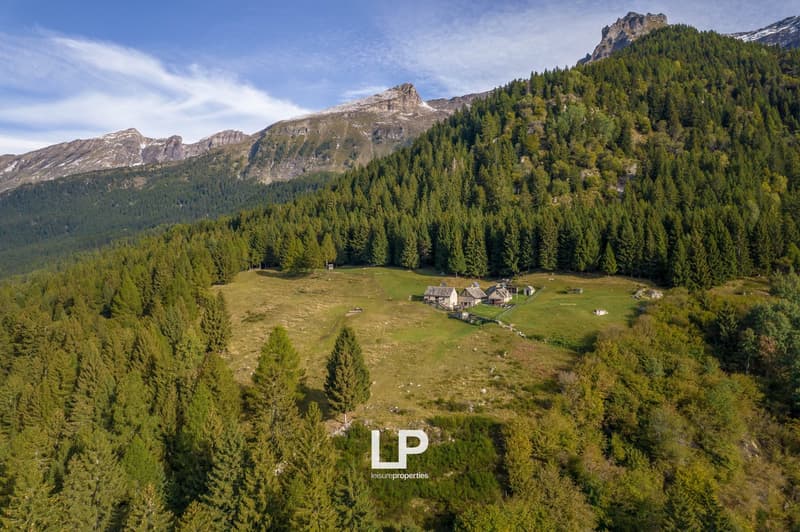 Chalet Varzo (4)