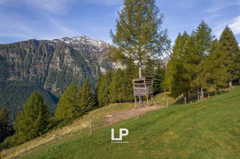 Chalet Varzo (8)