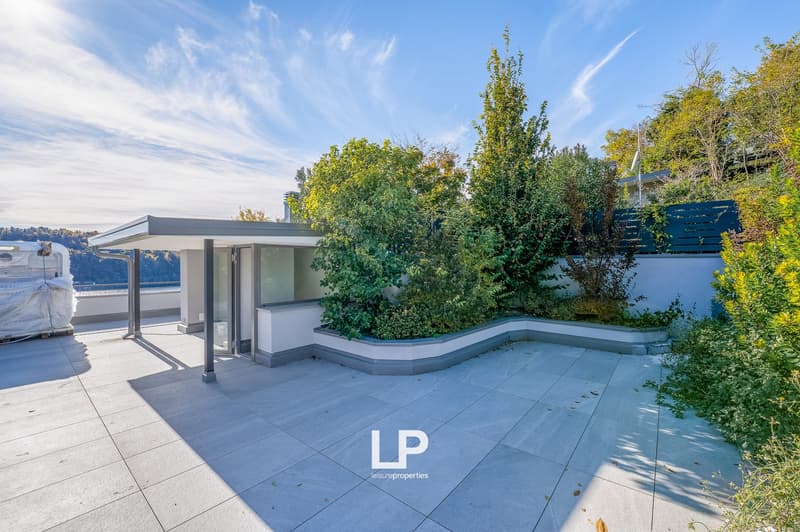 rooftop garden, paved flooring, plants, trees, and shrubs